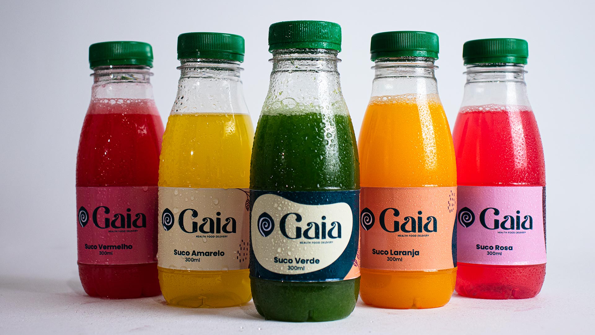 Gaia Health Food - Identidade Visual